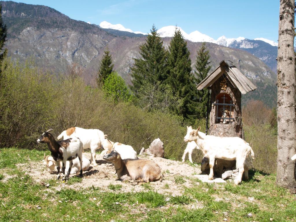 Penzion Rozic Бохинь Экстерьер фото